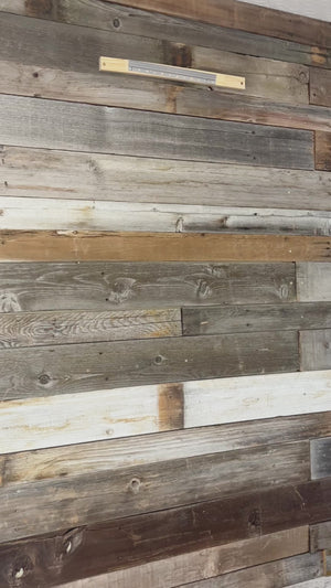 Jesus Walks on Water